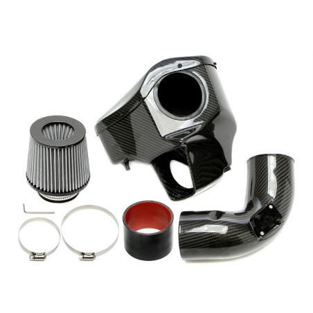 Air box in carbonio per BMW  / 4er serie con engine B58 (Cod. T-114BM006)