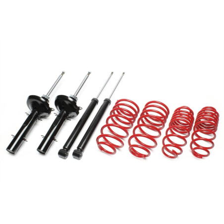 Assetto sportivo Fiat Bravo/Brava 1.2-1.8-16V 182 40/40mm (Cod. T-*EVOFI002)