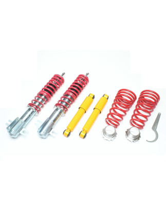 Assetto sportivo a ghiera regolabile  per Fiat Punto, Punto Cabrio,  176 (Cod. T-*EVOGWFI01)