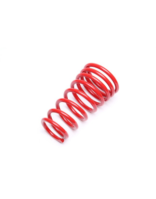 molla elicoidale  post. from EVOGWFI01+FI02+FI05 Fiat Punto II, 188, Coupe FA175, Punto, Punt... (Co