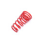 molla elicoidale  post. from EVOGWFI01+FI02+FI05 Fiat Punto II, 188, Coupe FA175, Punto, Punt... (Co