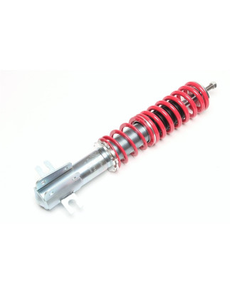 ammortizzatore con molla elicoidale  ant. from EVOGWFI01 Fiat Punto + Cabrio (176) (Cod. T-GFFI03VA)