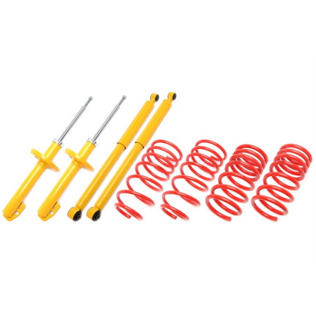 Assetto sportivo Ford Sierra con Cil.  ant. springs GBC/GBG 60/40mm (Cod. T-*EVOFO126/1)