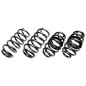 molle rialzo per Ford Transit Custom V710 Bus/Box 30/30mm (Cod. T-46FO001F)