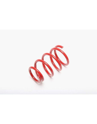 molla elicoidale  post. from EVOGWFO01 Ford Focus I , Focus I Notchback (Cod. T-EVO1220)