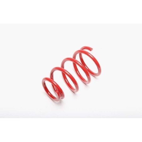 molla elicoidale  post. from EVOGWFO01 Ford Focus I , Focus I Notchback (Cod. T-EVO1220)