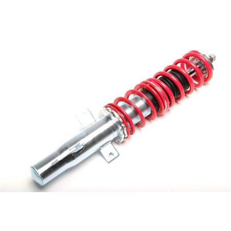 ammortizzatore con molla elicoidale  ant. from EVOGWFO07 Ford Fiesta III, GFJ 89-93 (Cod. T-GFFO01VA