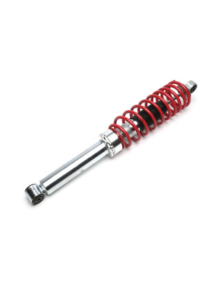 ammortizzatore con molla elicoidale  post. from EVOGWFO05 + EVOGWFO07 Ford Escort, Convertibl... (Co