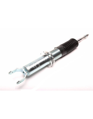 ammortizzatore sportivo filettato  post. from EVOGWHO03 Honda S2000 (Cod. T-GFHO03HA)
