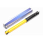 Ammortizzatore sportivo  post. per Mercedes Benz A-Class W169, B-Class W245 (Cod. T-EVOSTMB07H)