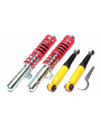 Assetto sportivo a ghiera regolabile  per Peugeot 206, -CC, -SW, 206+ (Cod. T-*EVOGWPE04)