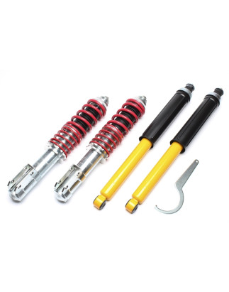 Assetto sportivo a ghiera regolabile  per Renault 19 I+II, -Chamade, -Cabrio (Cod. T-*EVOGWRE04)