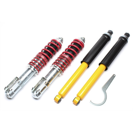 Assetto sportivo a ghiera regolabile  per Renault 19 I+II, -Chamade, -Cabrio (Cod. T-*EVOGWRE04)
