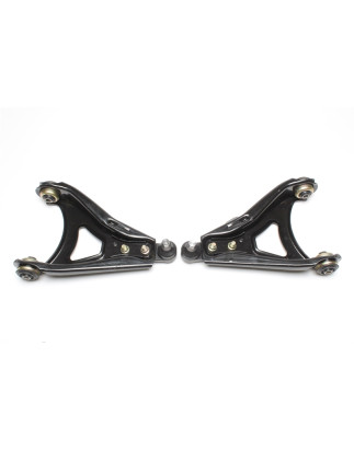 Braccio oscillante set small per Renault Megane I/Renault 19 Phase I+II/Renault 19 Kasten (Cod. T-52