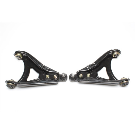 Braccio oscillante set small per Renault Megane I/Renault 19 Phase I+II/Renault 19 Kasten (Cod. T-52