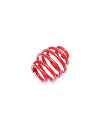 molla elicoidale post. from EVOGWRE02 for Renault Clio II (Cod. T-EVO1450)