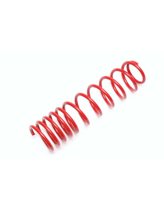 molla elicoidale  post. from EVOGWRE01 Renault Twingo I (Cod. T-EVO1480)