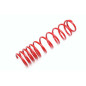 molla elicoidale  post. from EVOGWRE01 Renault Twingo I (Cod. T-EVO1480)