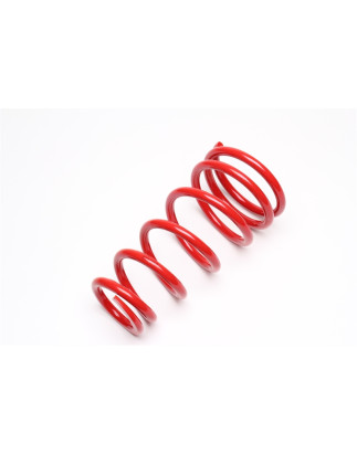 molla elicoidale  ant. from EVOGWRE06 for Renault Megane II, -Rear-End,-Grandtour,-CC, Scenic... (Co