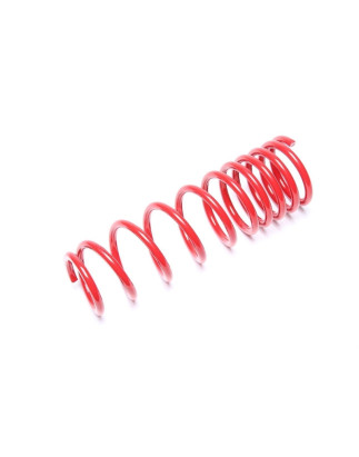 molla elicoidale  post. from EVOGWRE06 for Renault Megane II, -Rear, -Grandtour,-CC, Scenic I... (Co