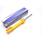 Ammortizzatore sportivo  ant. per Renault Megane I / Megane Scenic / Scenic I (Cod. T-EVOSTRE04V)