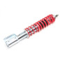ammortizzatore con molla elicoidale  ant. from EVOGWRE02 Renault Clio II (Cod. T-GFRE05VA)