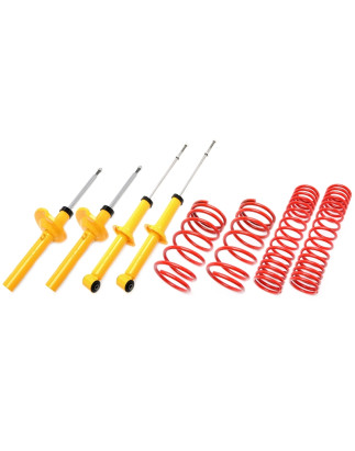 Assetto sportivo Skoda Felicia 791 35/35mm (Cod. T-*EVOSK017)