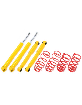 Assetto sportivo Smart Fortwo MC01 25/25mm (Cod. T-*EVOSM002)