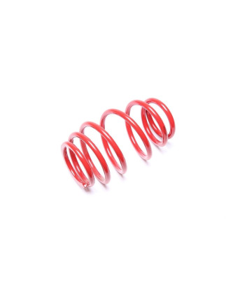 molla elicoidale  post. from EVOGWTO01 Toyota Yaris I, P1 (Cod. T-EVO1720)