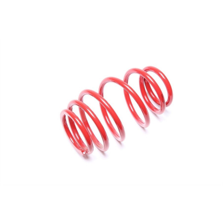 molla elicoidale  post. from EVOGWTO01 Toyota Yaris I, P1 (Cod. T-EVO1720)
