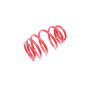 molla elicoidale  post. from EVOGWTO01 Toyota Yaris I, P1 (Cod. T-EVO1720)