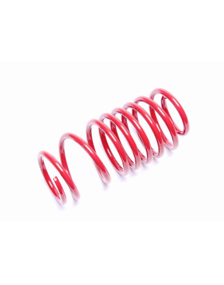 molla elicoidale  post. from EVOGWTO11 for Toyota Yaris II+III, XP9+XP13 (Cod. T-EVO1910)