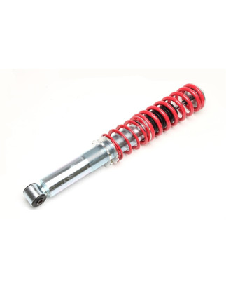 ammortizzatore con molla elicoidale  post. from EVOGWVO01 Volvo S40/V40 I (Cod. T-GFVO01HA)