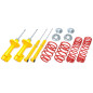 Assetto sportivo VW Golf I /Jetta I / VW Scirocco I / II 60/40mm (Cod. T-*EVOVW015/1)