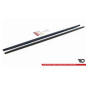 Diffusori minigonne Audi S8 D3 (Cod. M-AU-S8-D3-SD1G)