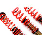 Assetto a ghiera Street Audi A4 B5/A4 B5 Avant (Cod. MT-MTSGWAU53)