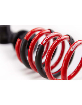 Assetto a ghiera Street Mazda/Volvo/Ford 3/3 berlina/C30/FOCUS II/FOCUS II Cabrio/FOCUS II berlina/S