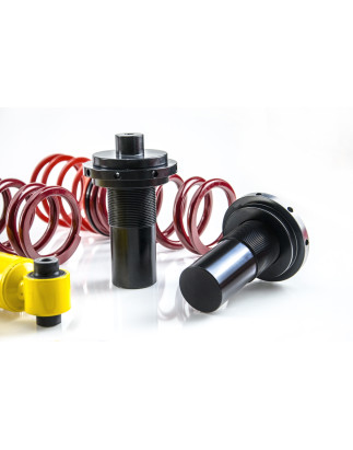 Assetto a ghiera Street Ford TOURNEO CONNECT / GRAND TOURNEO CONNECT V408 MPV/TRANSIT CONNECT V408 B
