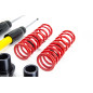 Assetto a ghiera Street Audi/VW/Seat/Skoda A3/BORA I/GOLF IV/LEON/NEW BEETLE/OCTAVIA I /TOLEDO II/TT