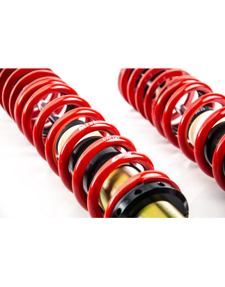 Assetto a ghiera Street Audi/VW 80 B2 berlina/90 B2/COUPE B2/PASSAT B2 berlina/PASSAT B2 Variant/SAN