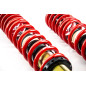 Assetto a ghiera Street Audi/VW 80 B2 berlina/90 B2/COUPE B2/PASSAT B2 berlina/PASSAT B2 Variant/SAN