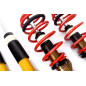 Assetto a ghiera Street Audi/VW/Seat/Skoda A3/ARTEON/Golf VII/ Golf VIII/LEON/LEON SC/LEON Sportstou