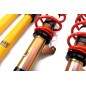 Assetto a ghiera Street Audi/VW/Seat/Skoda A3/ARTEON/Golf VII/ Golf VIII/LEON/LEON SC/LEON Sportstou