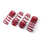 Set molle sportive Honda CR-Z (ZF) (Cod. MT-MTSXHO049)