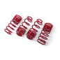 Set molle sportive Renault MEGANE IV Hatchback (B9) (Cod. MT-MTSXRE150)