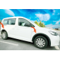 Accessorio estetico per Volkswagen Caddy MK4 (Cod. CW-CWWA03-0015)