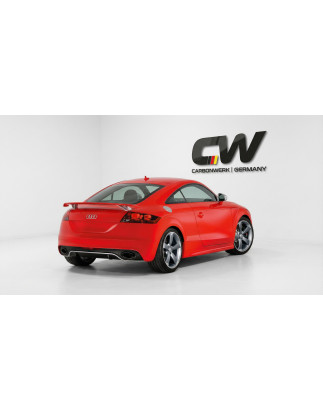 Diffusori minigonne per Audi TT 8J (Cod. CW-CWB-SS08-V0015UP)