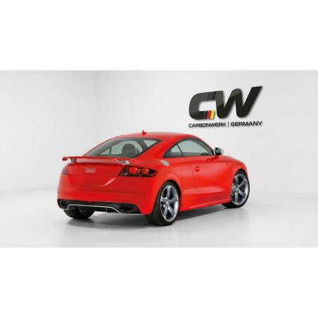 Diffusori minigonne per Audi TT 8J (Cod. CW-CWB-SS08-V0015UP)
