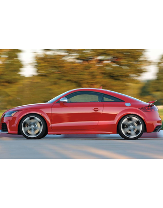 Diffusori minigonne per Audi TT 8J (Cod. CW-CWB-SS08-V0015UP)