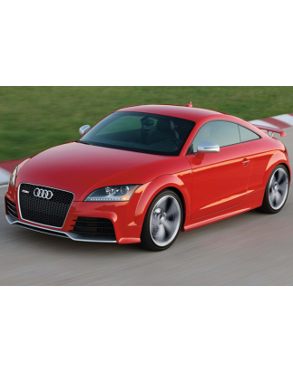 Diffusori minigonne per Audi TT 8J (Cod. CW-CWB-SS08-V0015UP)